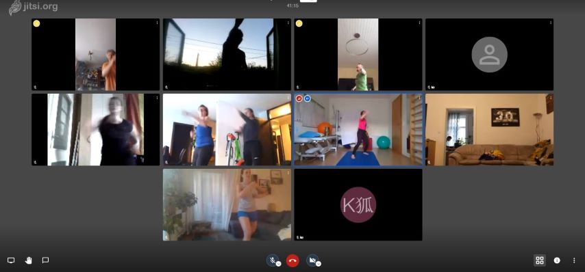 Jiujitsitraining 854