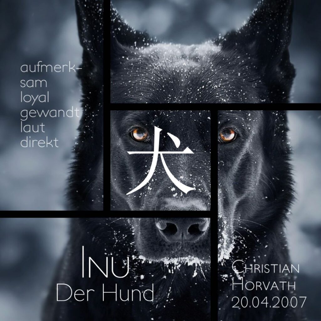 09 chritian horvath