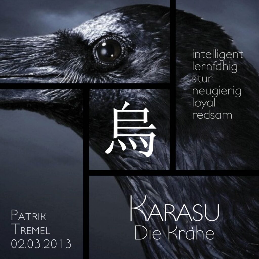 16 patrik tremel