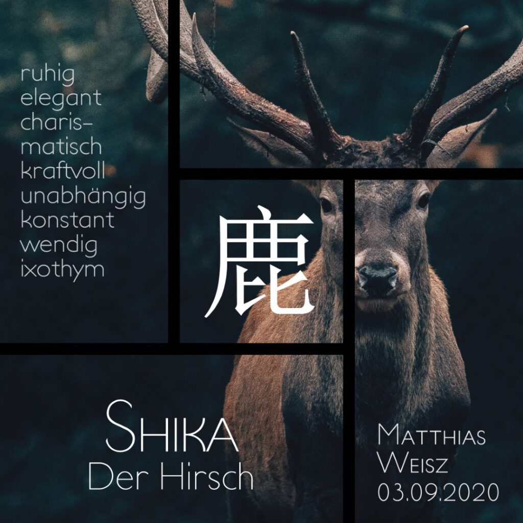 27 matthias weisz