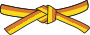 Judo yellow orange belt