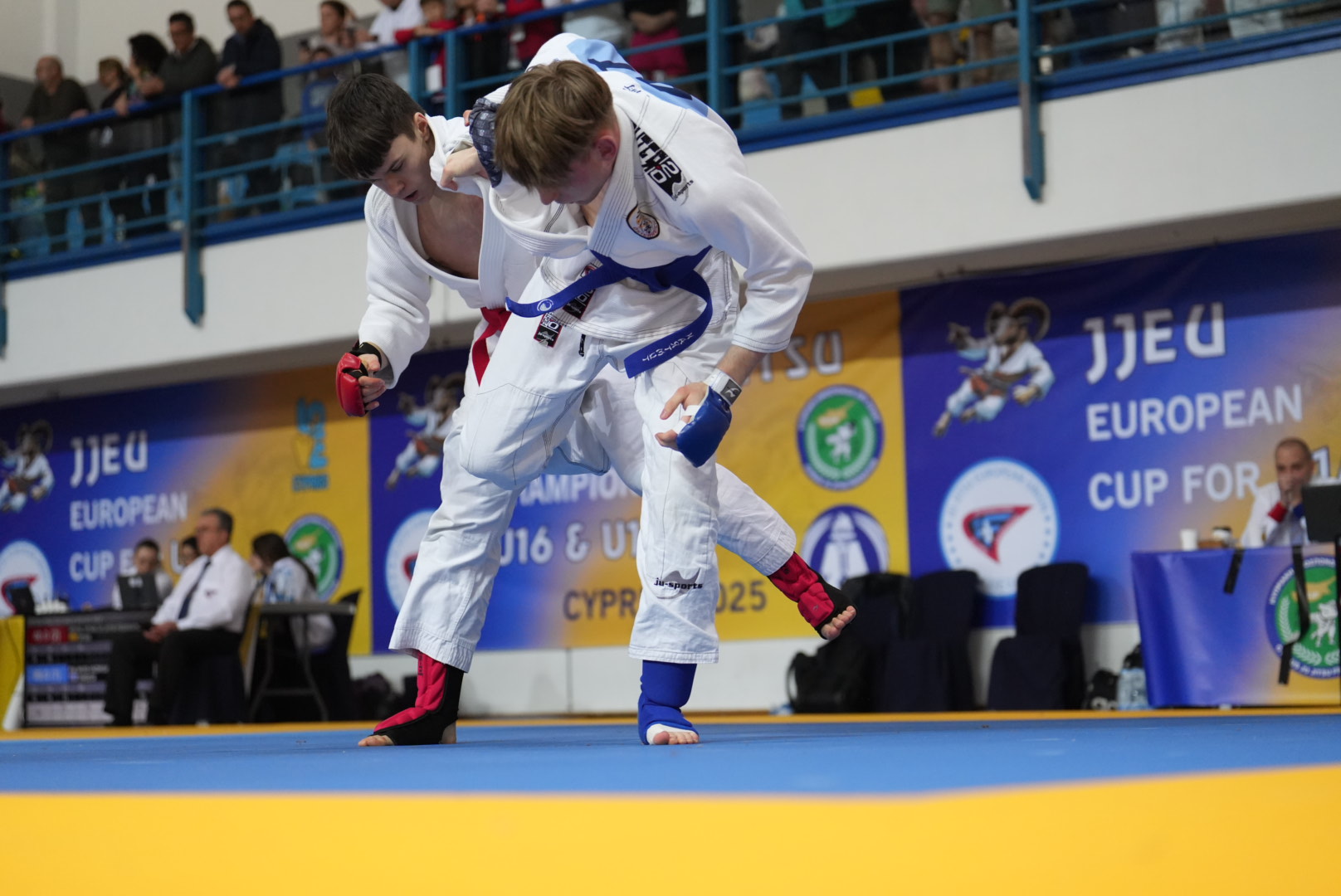 2025 03 24 um 11.02.59 7ca40a44